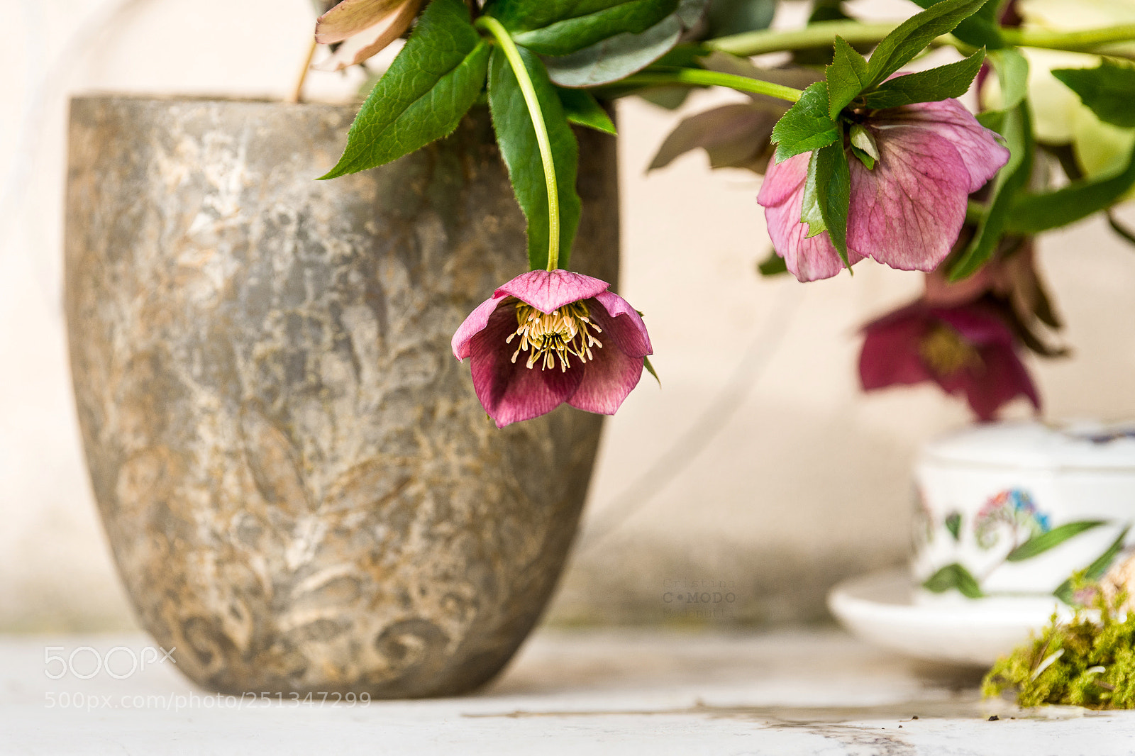 Nikon D7200 sample photo. L'inchino photography