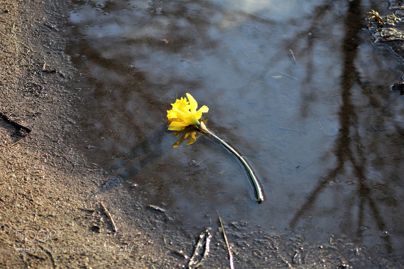 Canon EOS 60D sample photo. Abandonnee oubliee photography