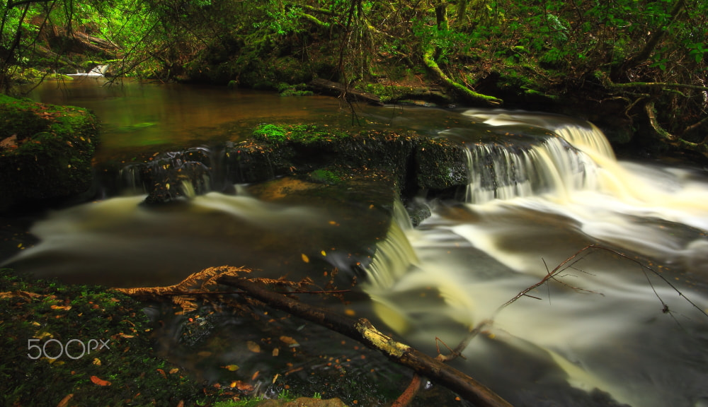 Canon EOS 60D + Sigma 10-20mm F4-5.6 EX DC HSM sample photo. Chellis creek photography