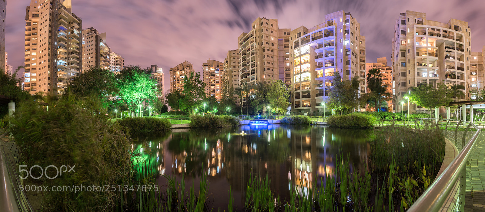 Nikon D5600 sample photo. Savion hearts park photography