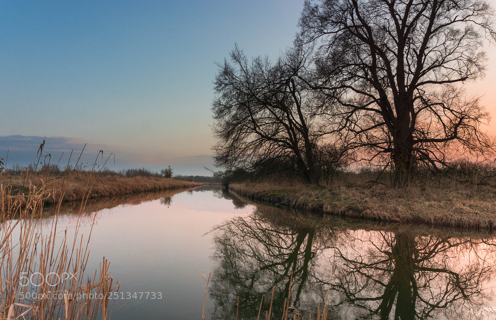 Sony a6000 sample photo. Dsc08365 photography