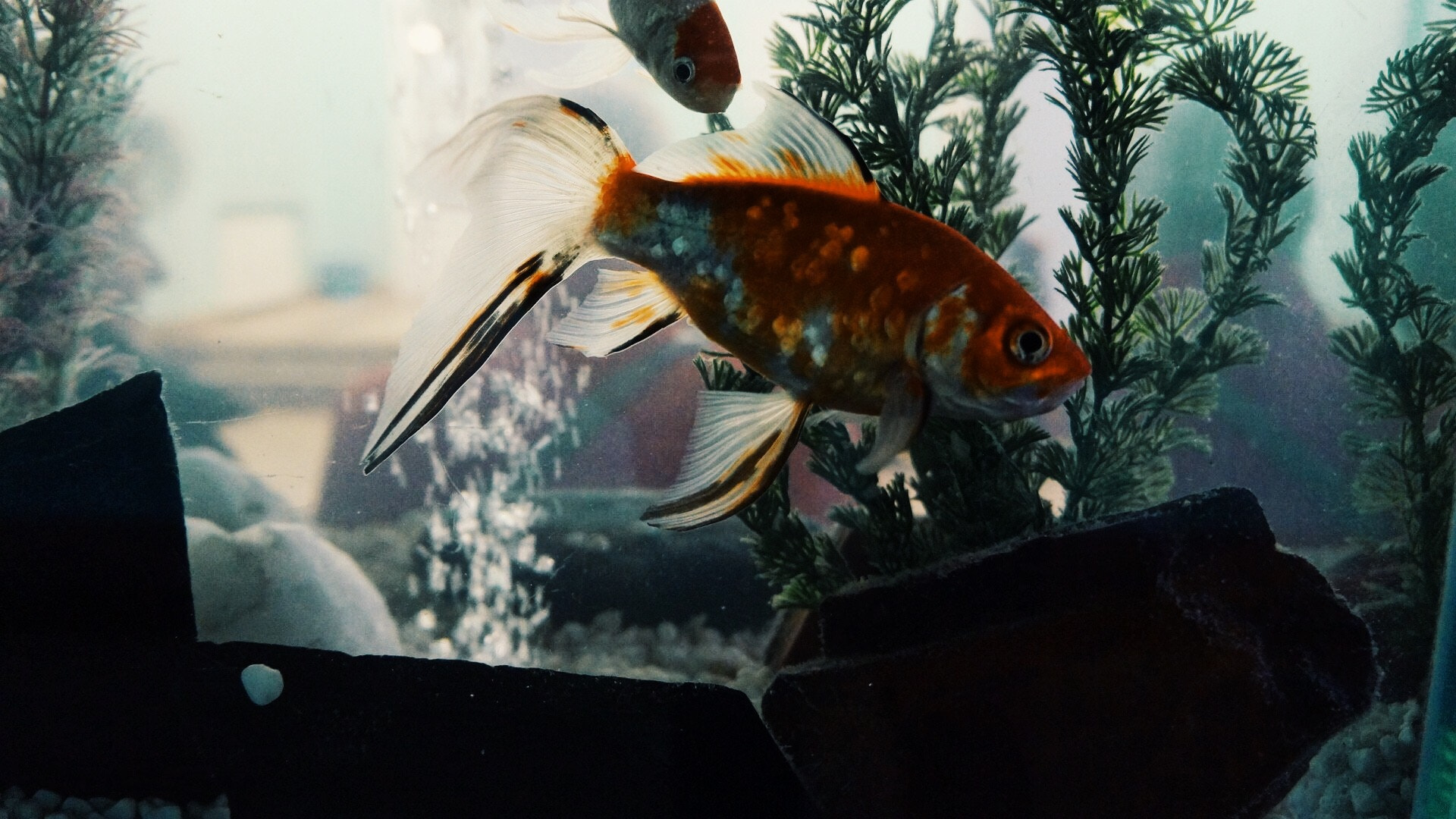 Sony Alpha NEX-F3 sample photo