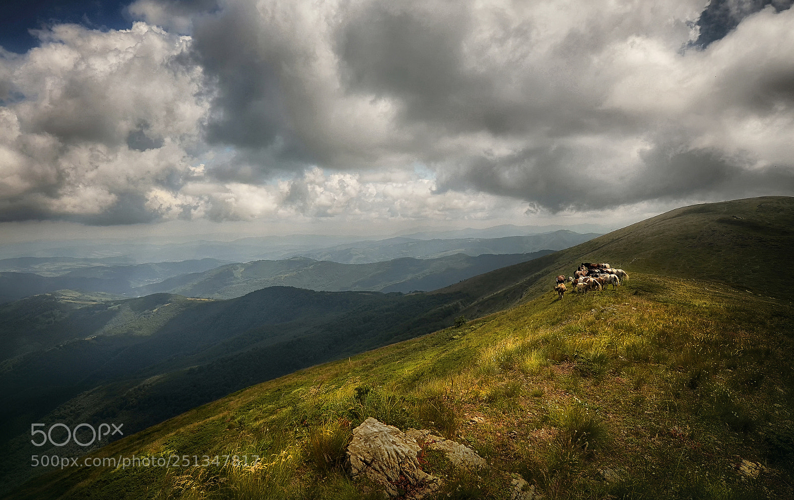 Nikon D7000 sample photo. Central balkan, bulgaria photography