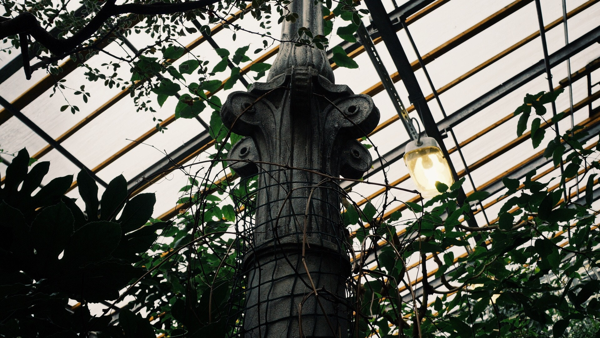 Sony Alpha NEX-F3 sample photo