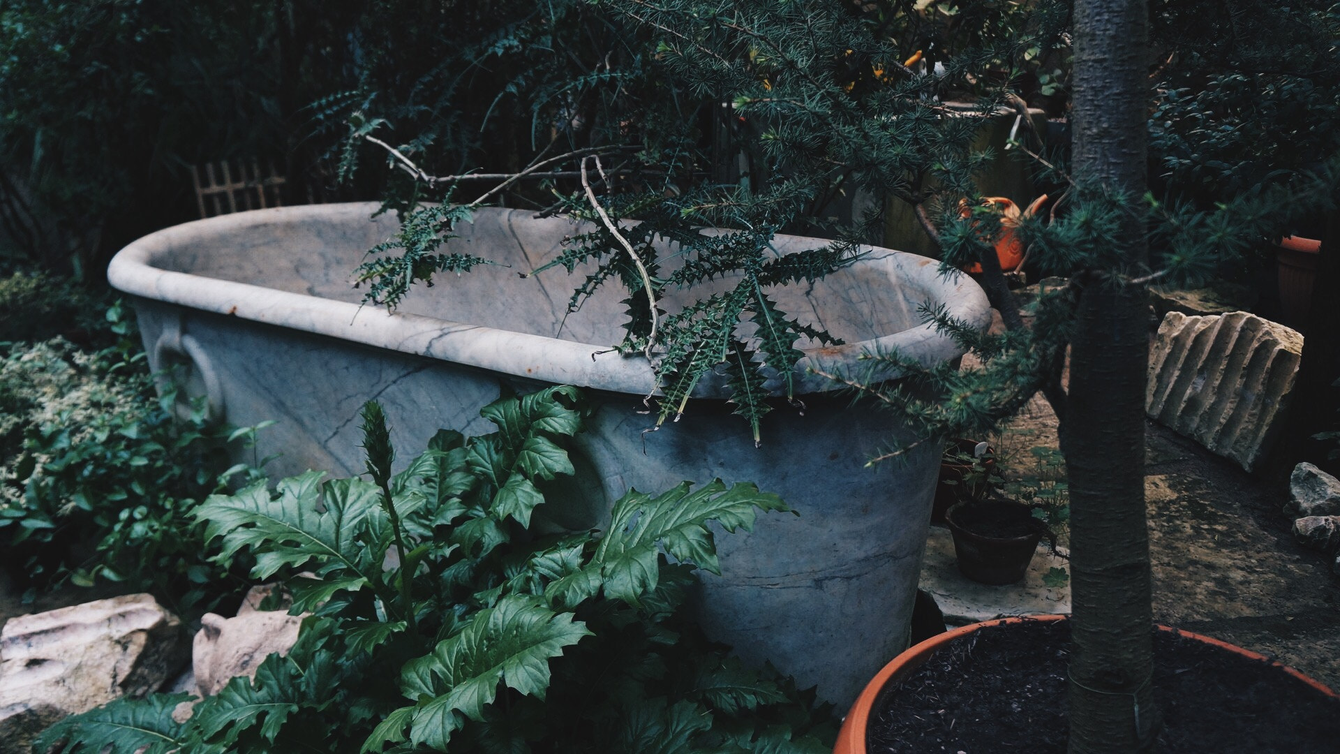 Sony Alpha NEX-F3 sample photo