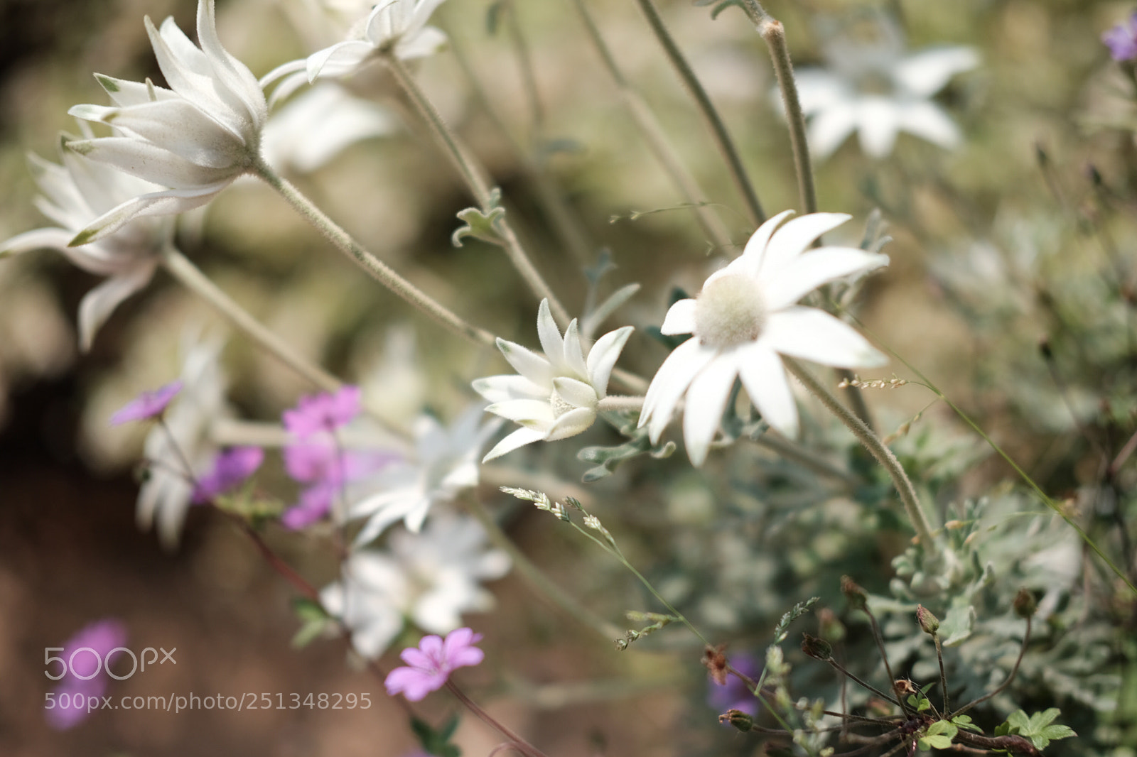 Fujifilm X-Pro2 sample photo. Untitled photography