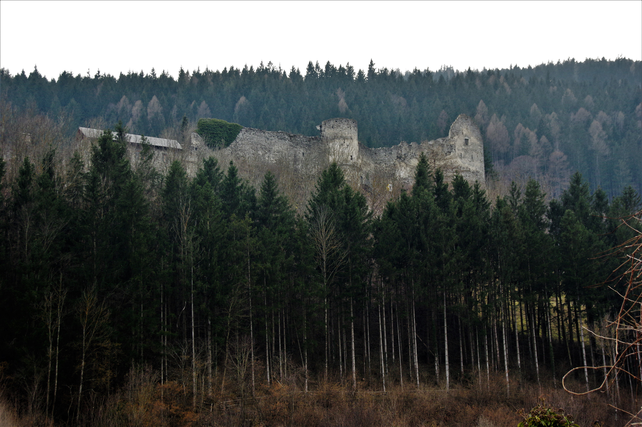 Pentax K-3 II + Sigma 18-250mm F3.5-6.3 DC Macro OS HSM sample photo. Old carinthian castle photography