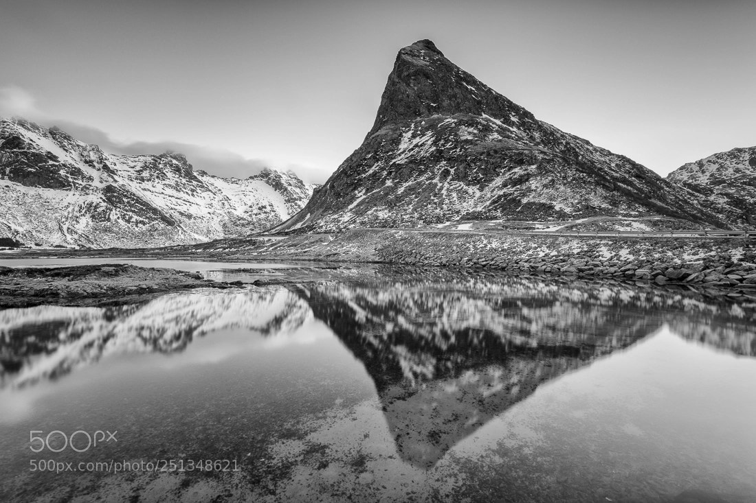 Nikon D850 sample photo. Reflecting in lofoten (2) photography