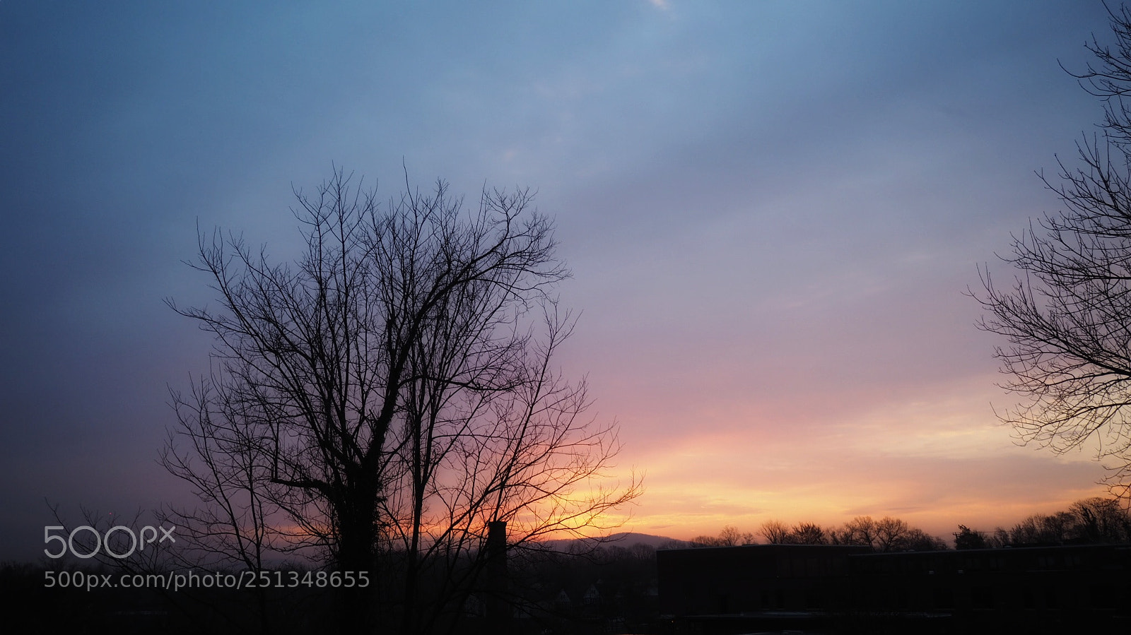 Olympus OM-D E-M10 sample photo. Foggy sunrise photography