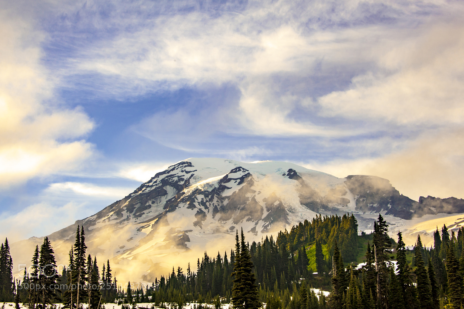 Nikon D700 sample photo. Paradise point, mount rainier photography