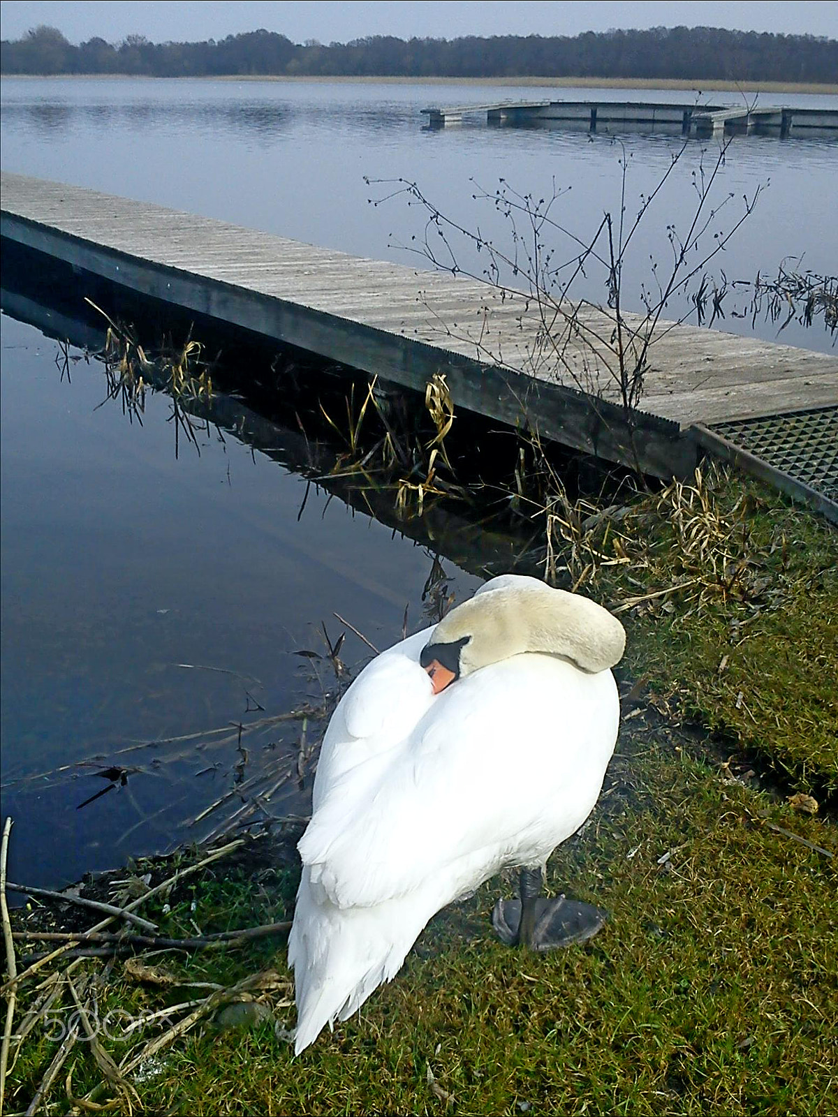 Sony Ericsson J10i2 sample photo. Power nap photography