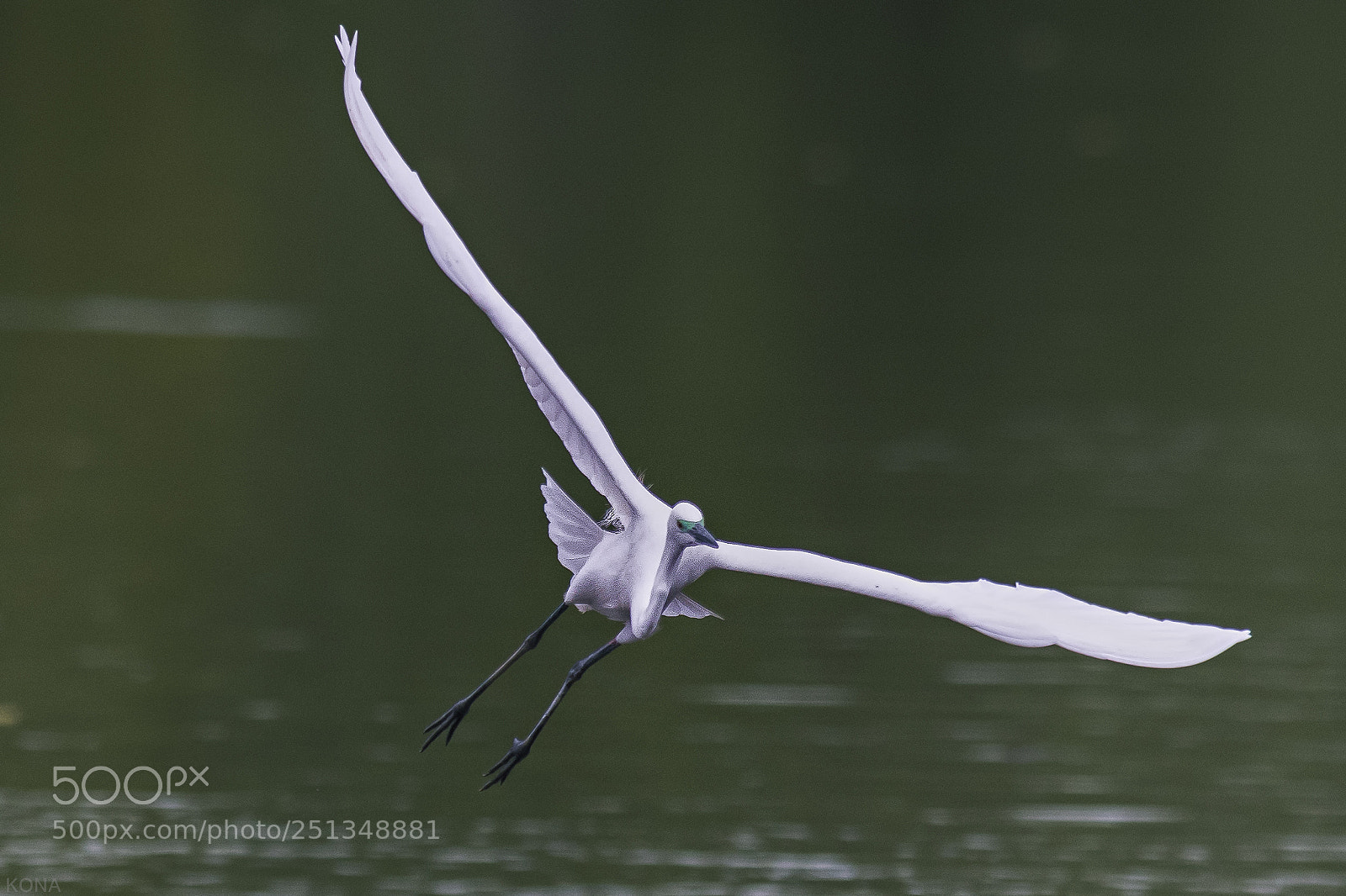 Nikon D500 sample photo. Sagi photography