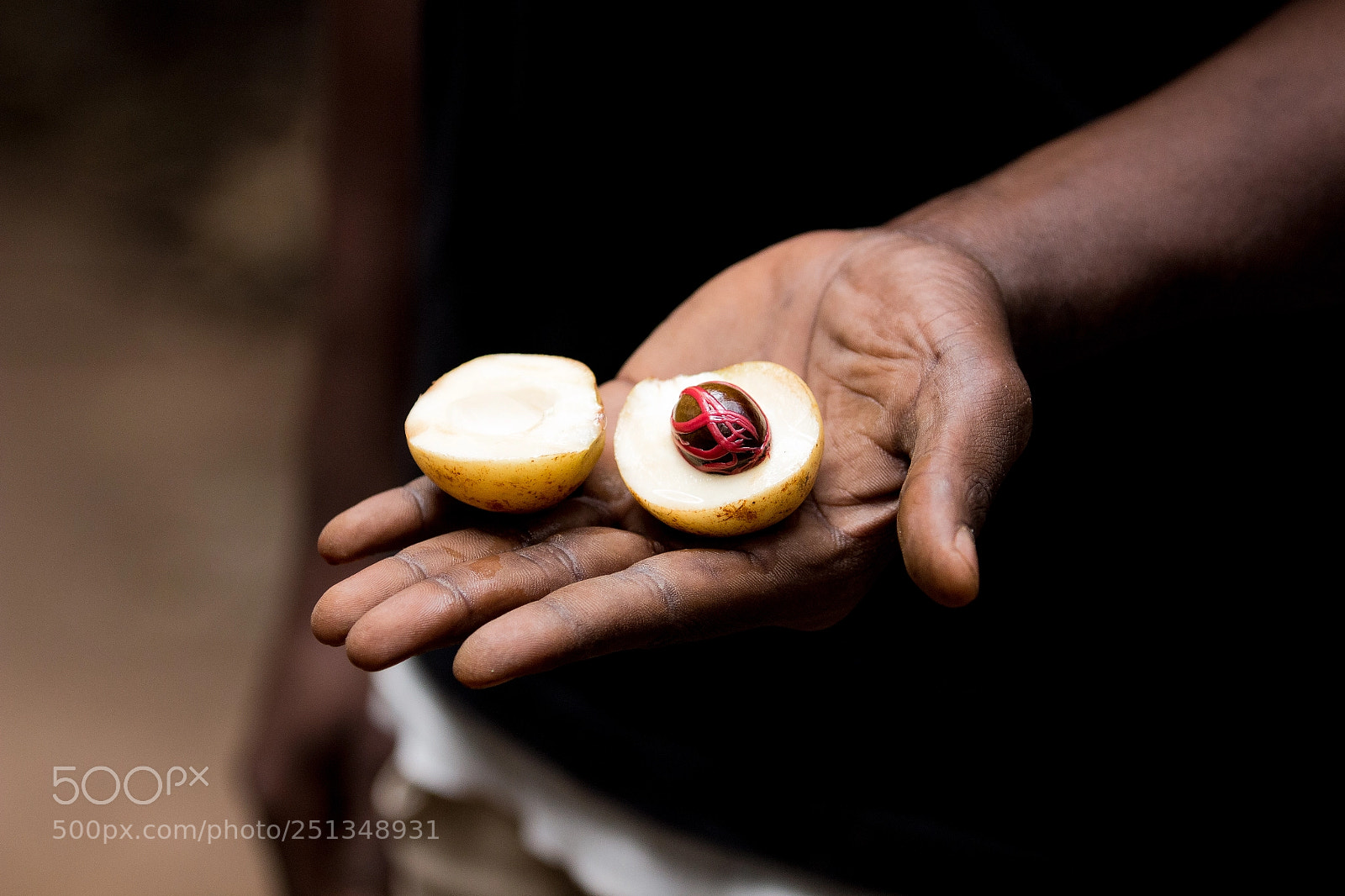 Canon EOS 700D (EOS Rebel T5i / EOS Kiss X7i) sample photo. Zanzibar magic photography