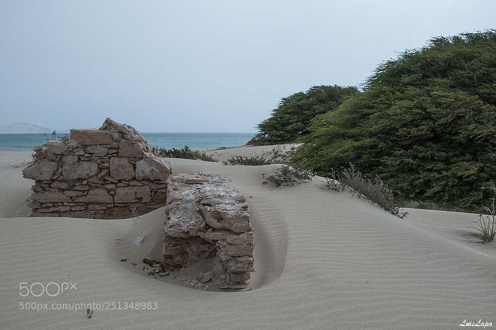 Nikon D300S sample photo. Copy photography