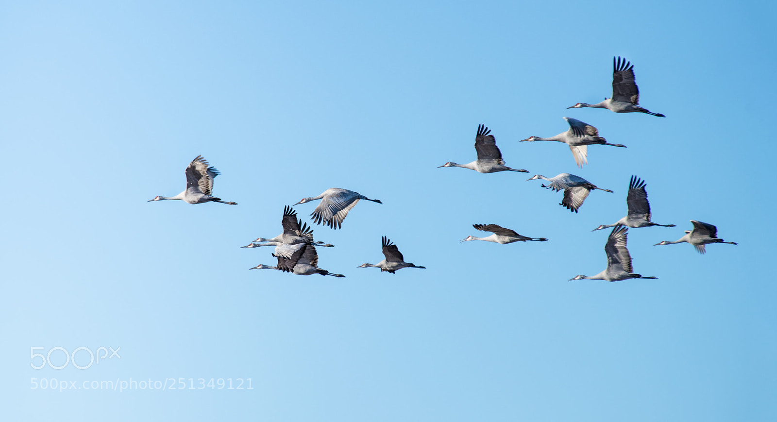 Nikon D850 sample photo. Group 14 photography