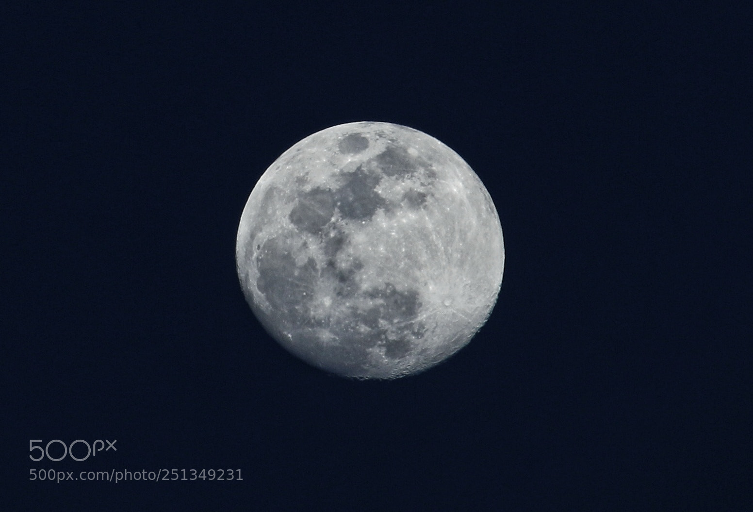 Canon EOS 70D sample photo. Untitled photography