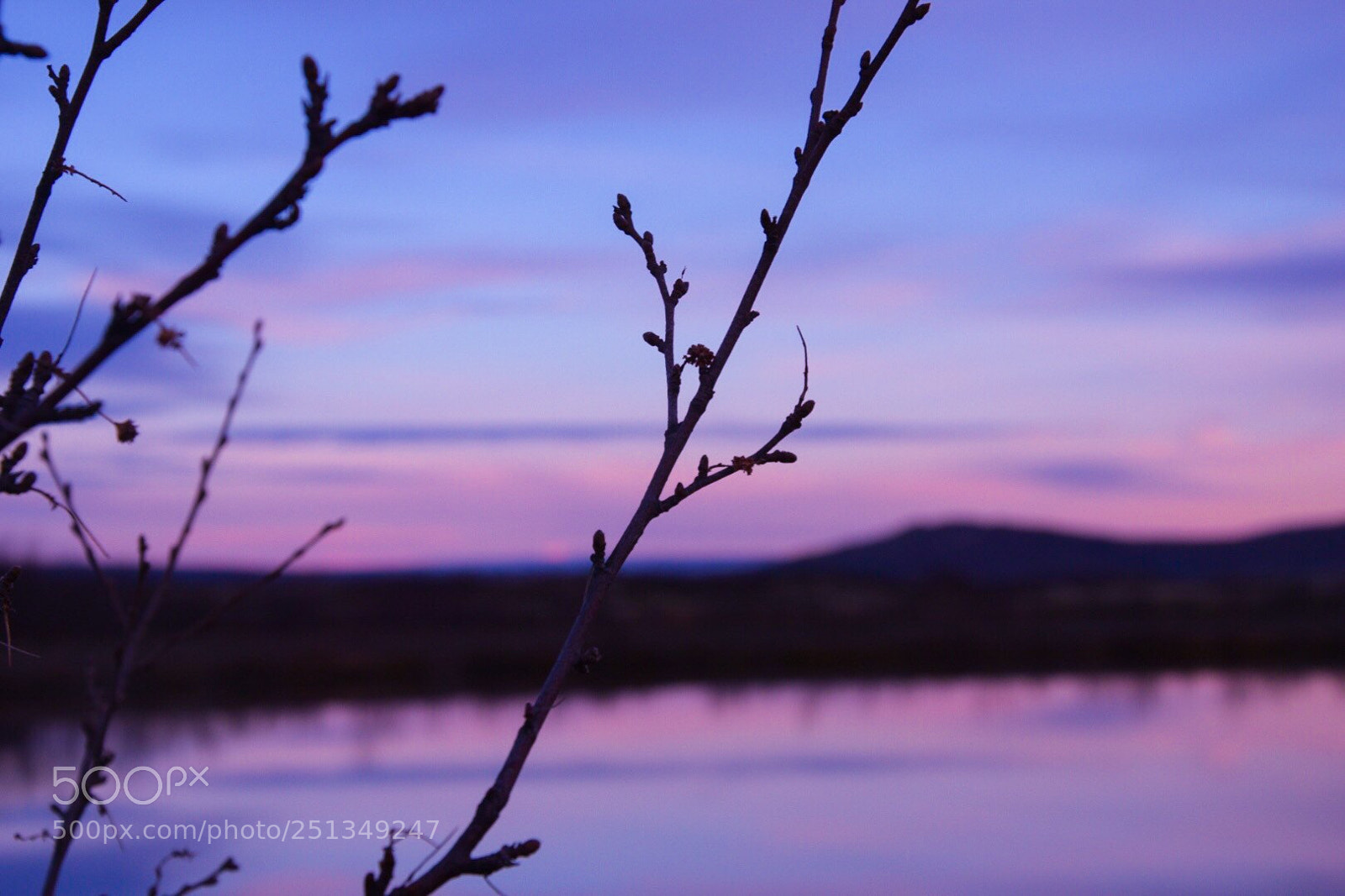 Nikon D5300 sample photo. Untitled photography