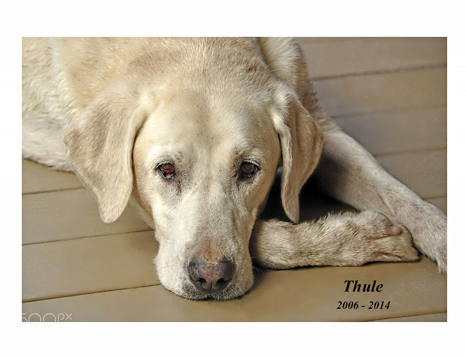 Nikon D5000 sample photo. Thule photography