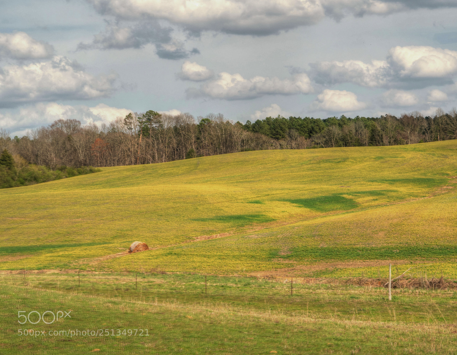 Panasonic Lumix DMC-G85 (Lumix DMC-G80) sample photo. Yellow fields photography
