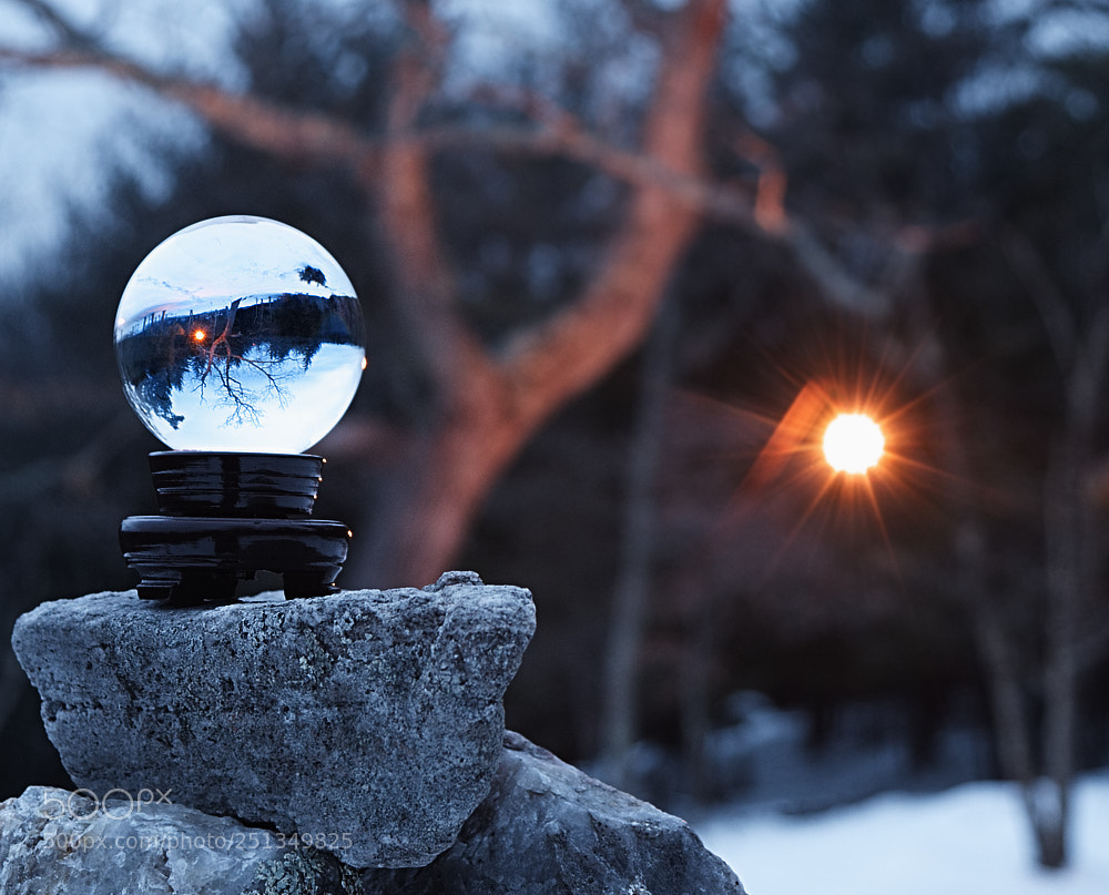 Fujifilm X-E3 sample photo. Lampinthewoods photography