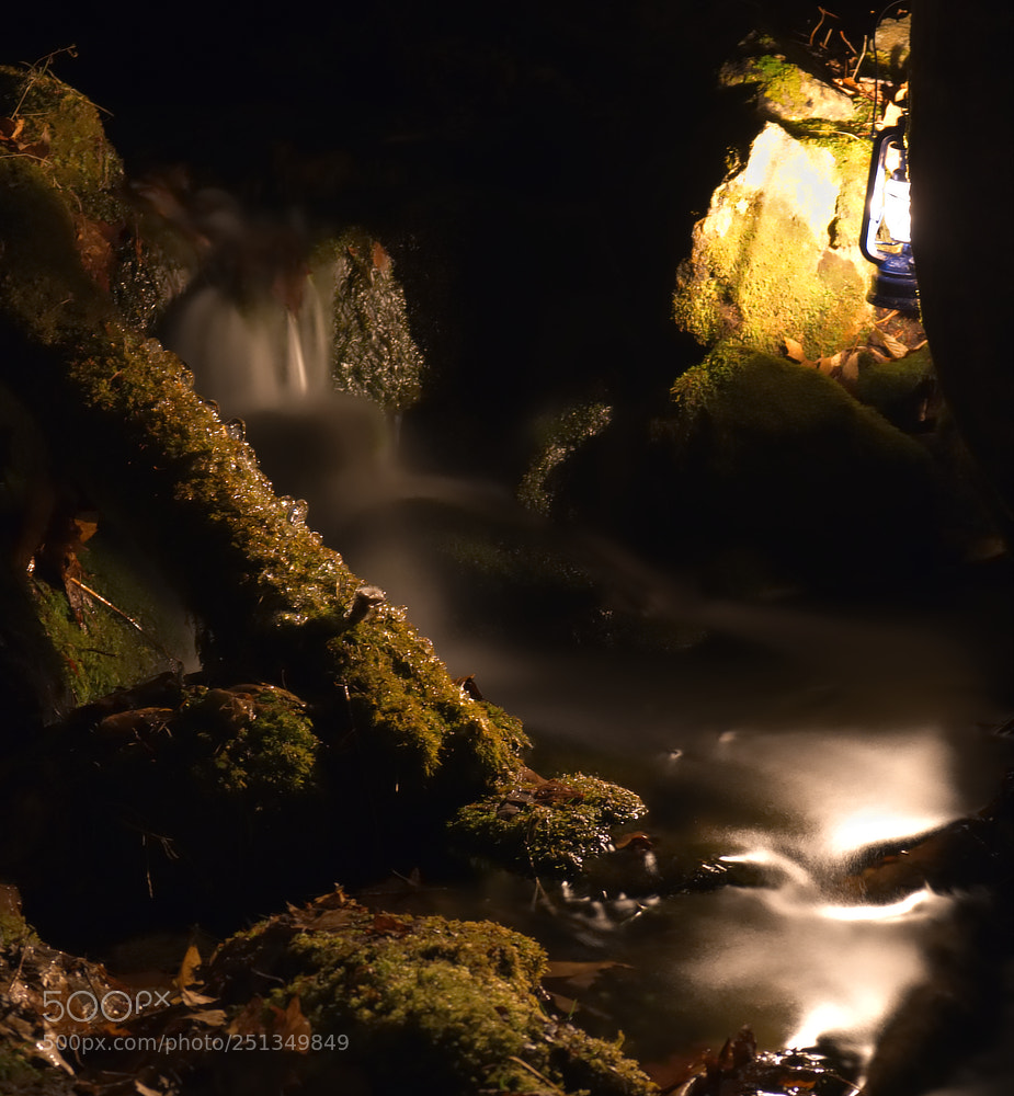 Fujifilm X-E3 sample photo. Lampinthewoods photography