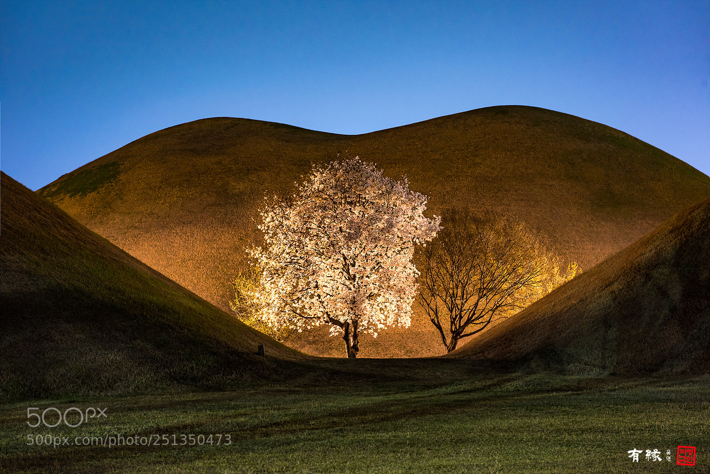 Nikon D810 sample photo. . photography