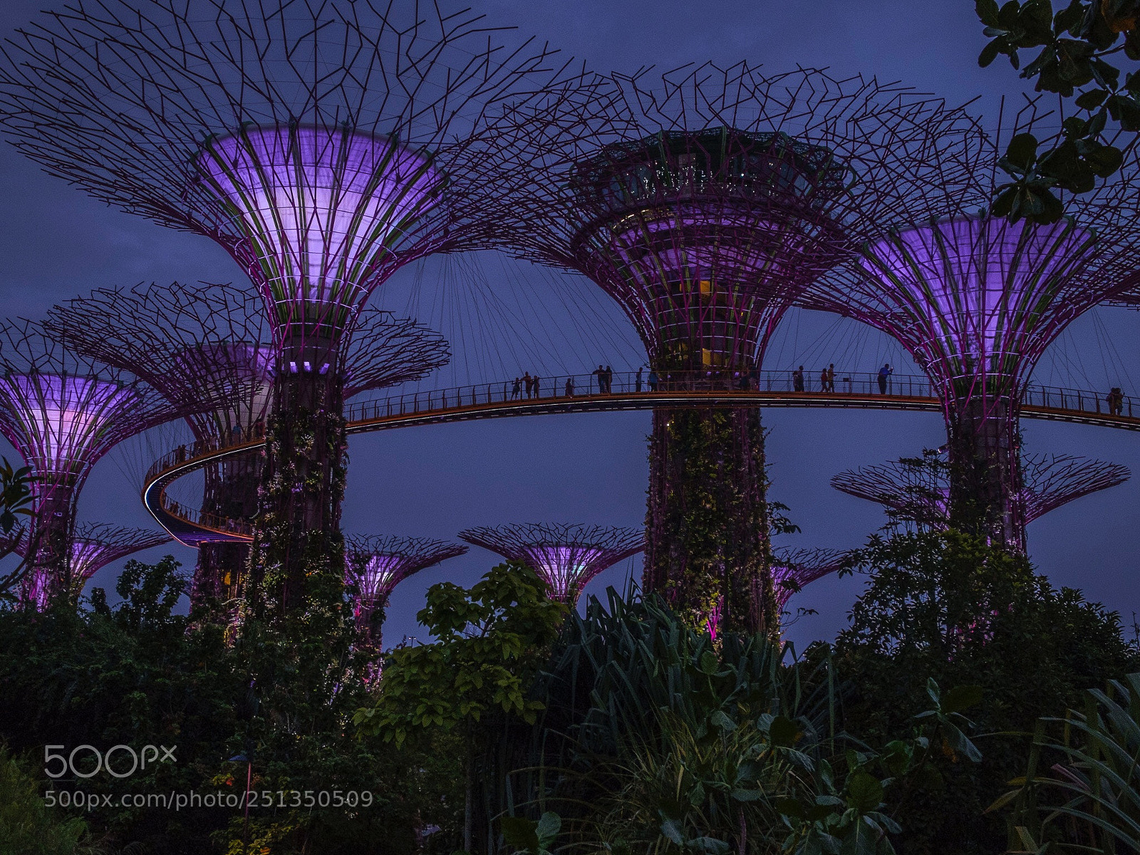 Fujifilm X-E1 sample photo. Garden by the bay photography
