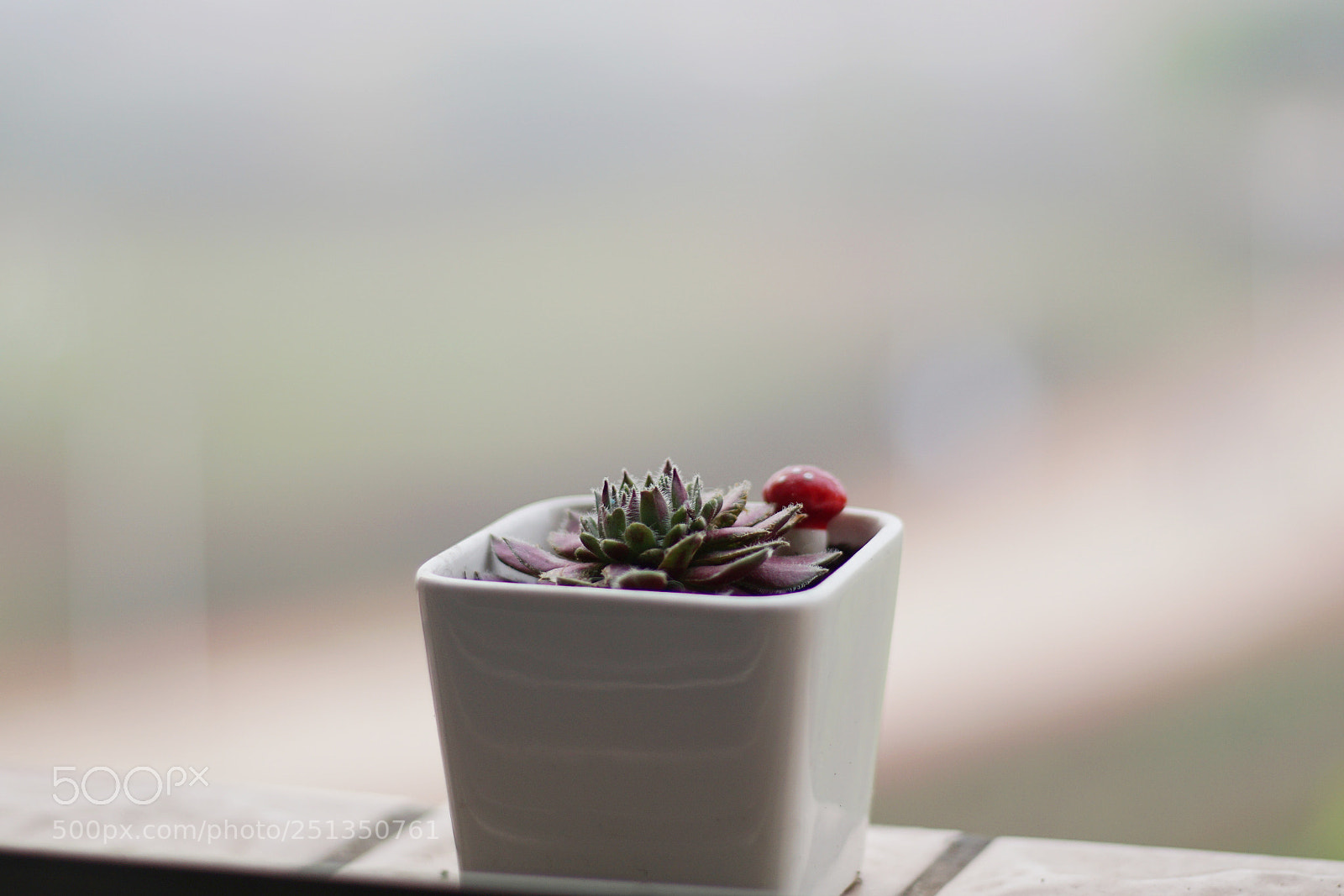 Sony a6000 sample photo. Untitled photography