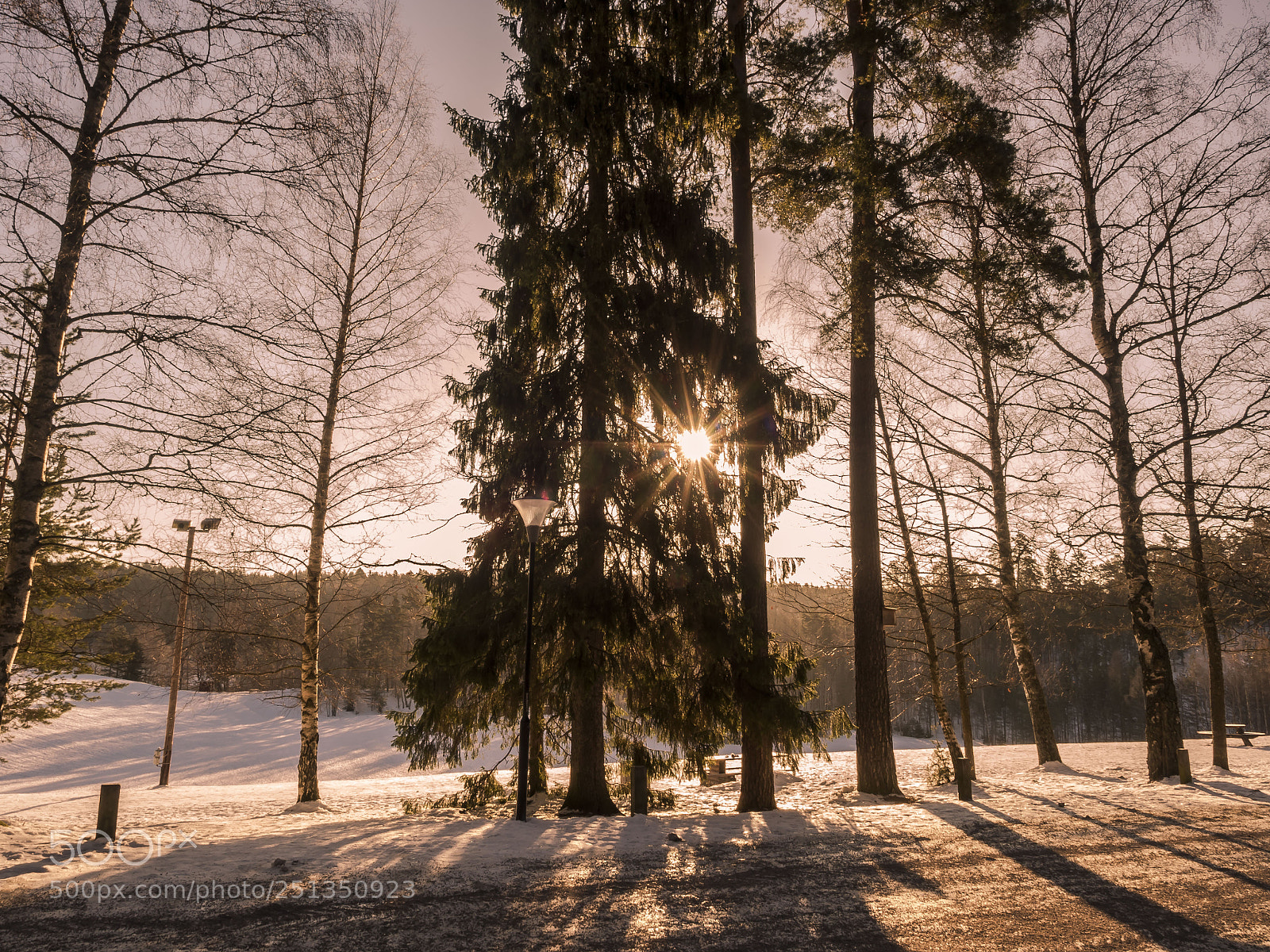 Olympus OM-D E-M5 II sample photo. Sun and snow photography