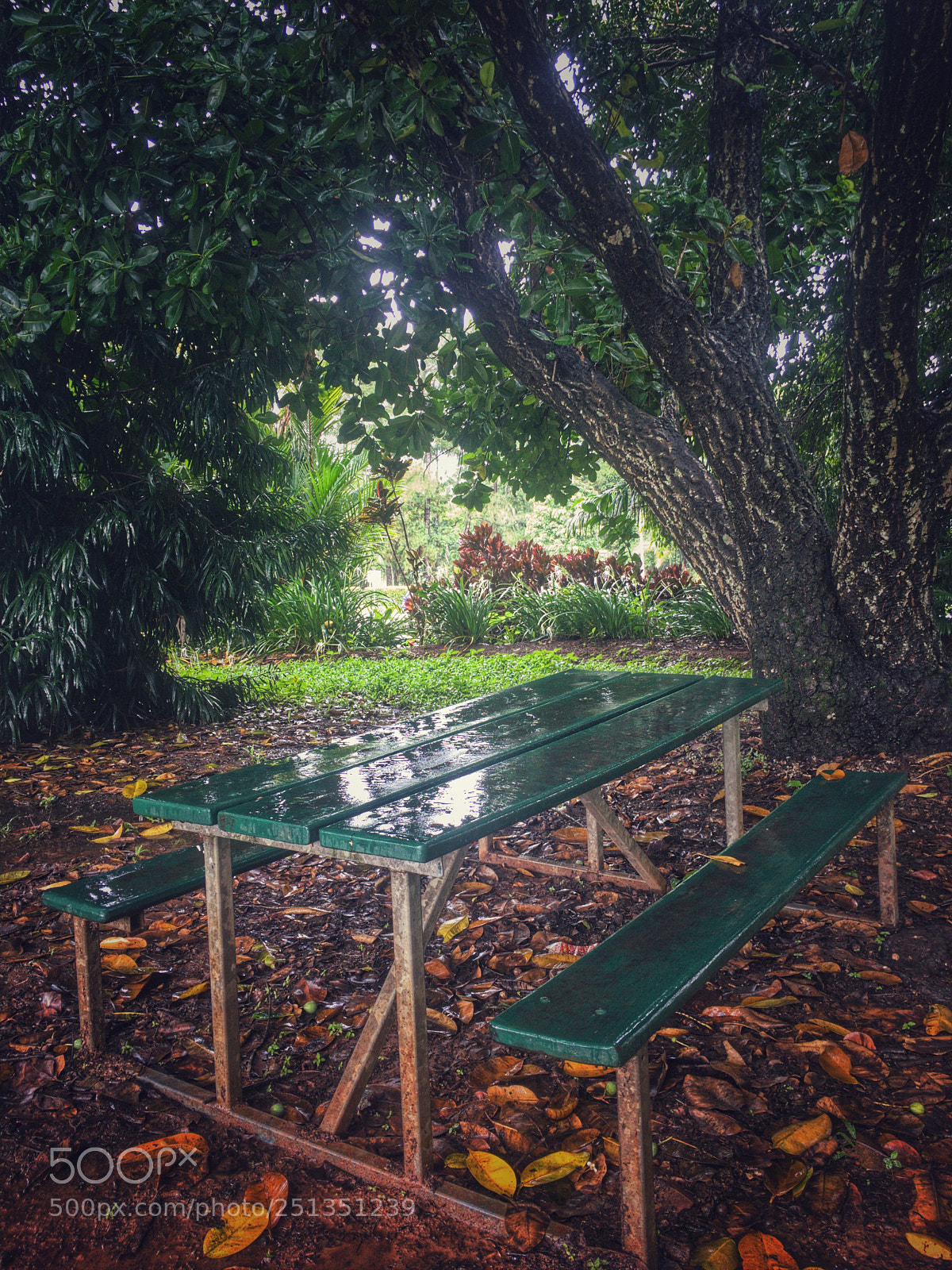 Apple iPhone 6s sample photo. Green trees and green photography