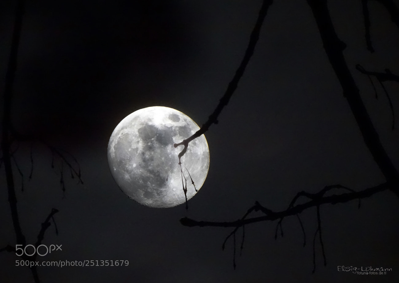 Sony Cyber-shot DSC-HX400V sample photo. Moon - first attempt photography