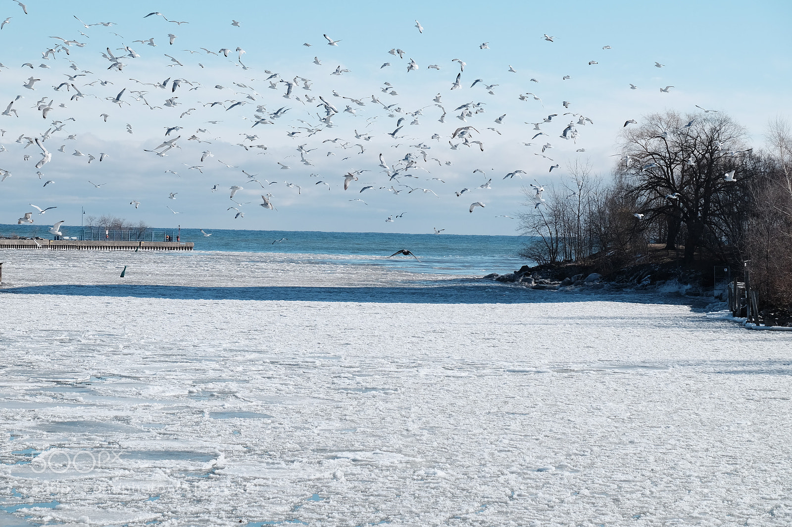 Fujifilm X-T1 sample photo. Port credit photography