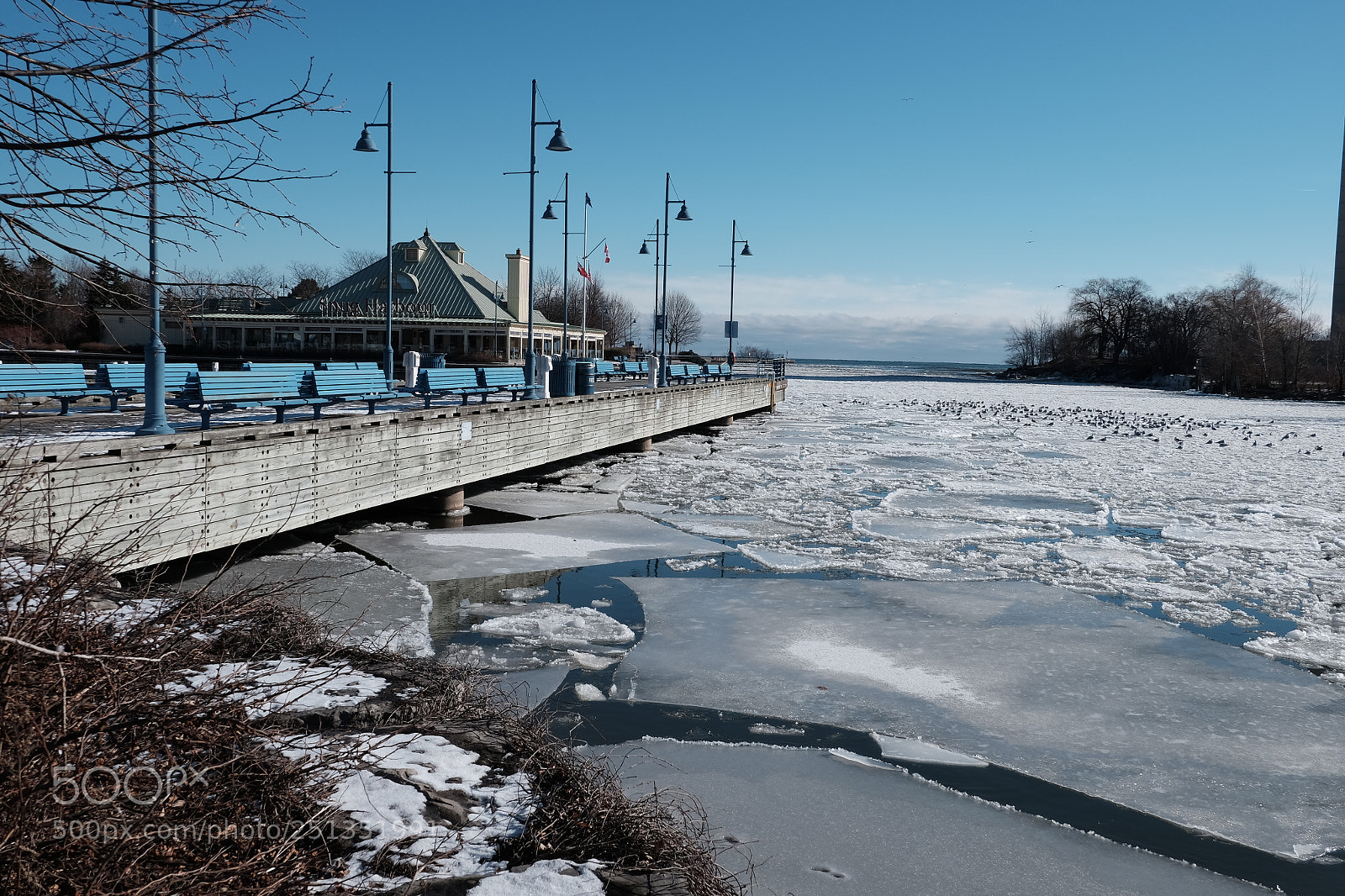 Fujifilm X-T1 sample photo. Port credit photography