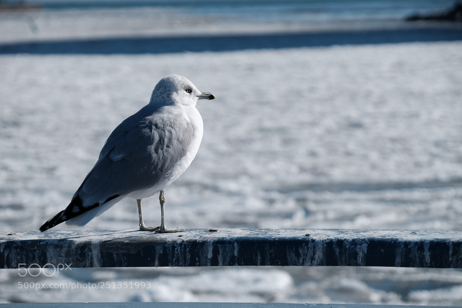 Fujifilm X-T1 sample photo. Port credit photography