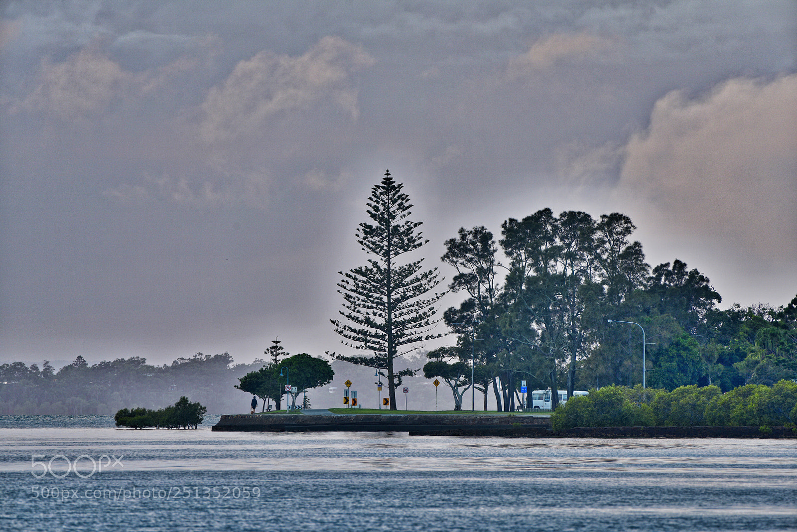 Nikon D810 sample photo. Darling point photography