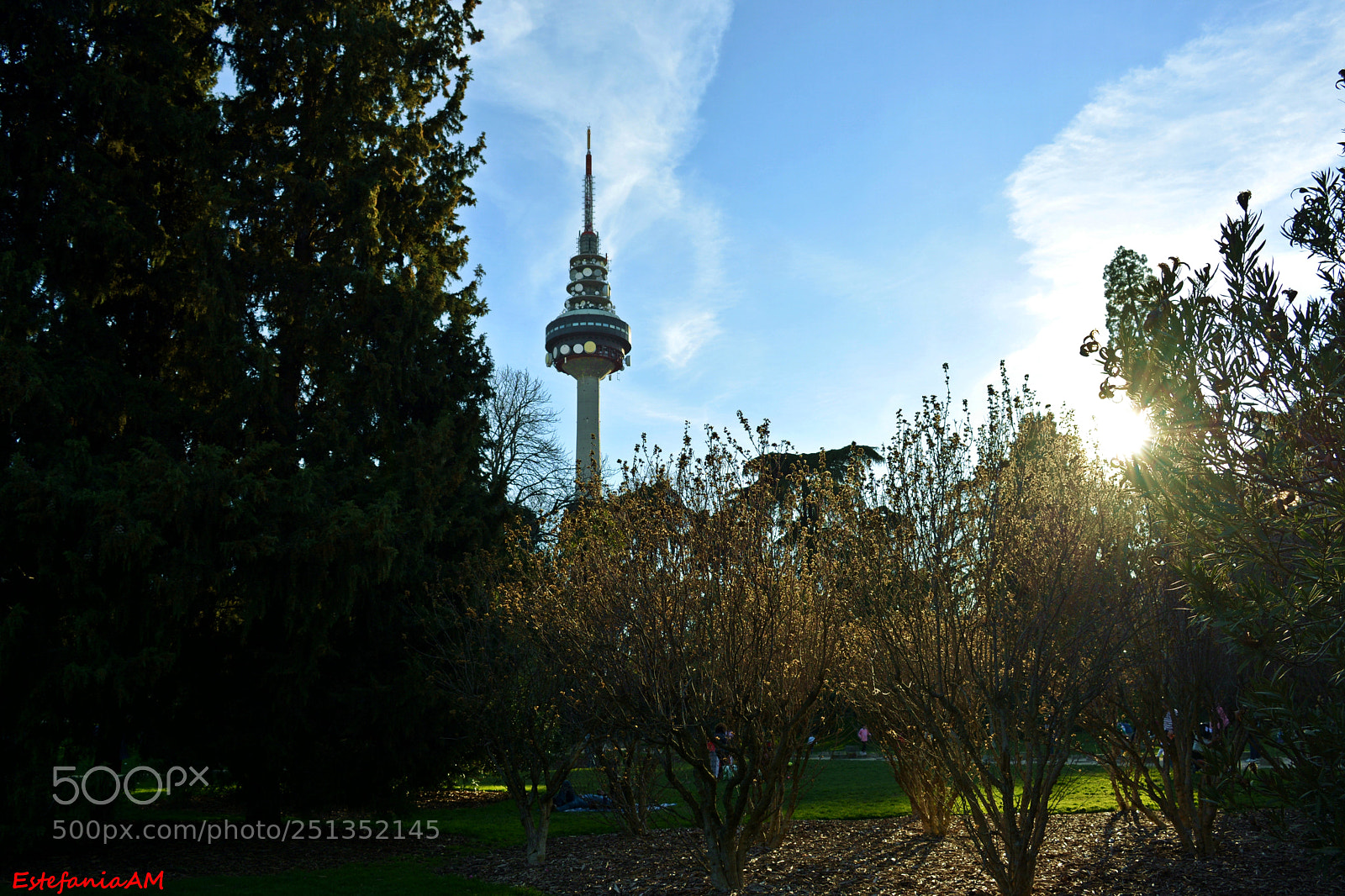 Nikon D5200 sample photo. Parques estupendos en madrid,que photography