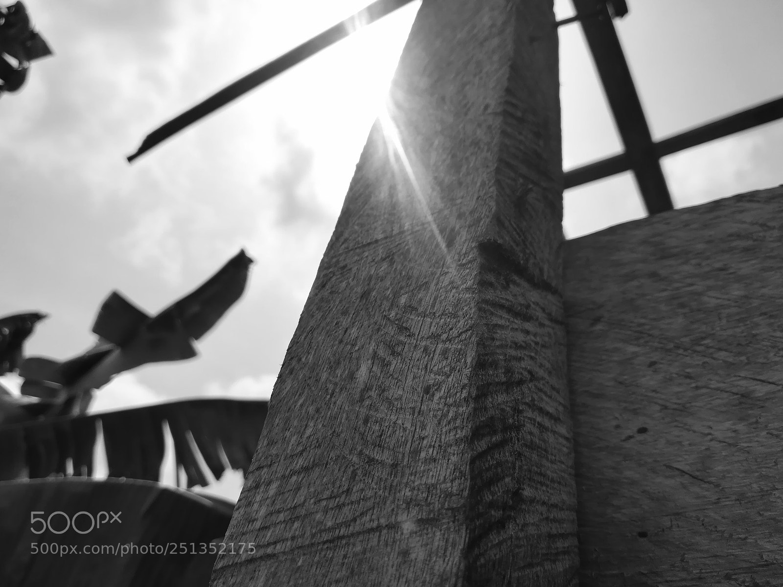 HUAWEI PRA-LX1 sample photo. Preto e branco. photography