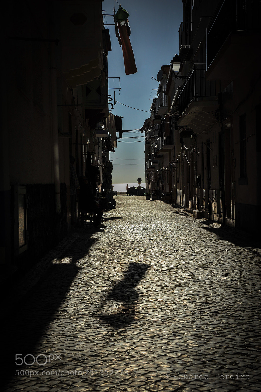 Nikon D700 sample photo. Untitled photography