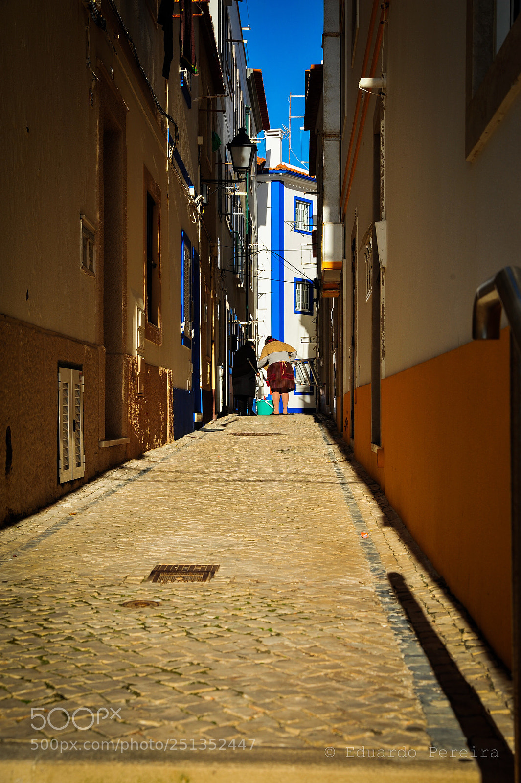 Nikon D700 sample photo. Untitled photography