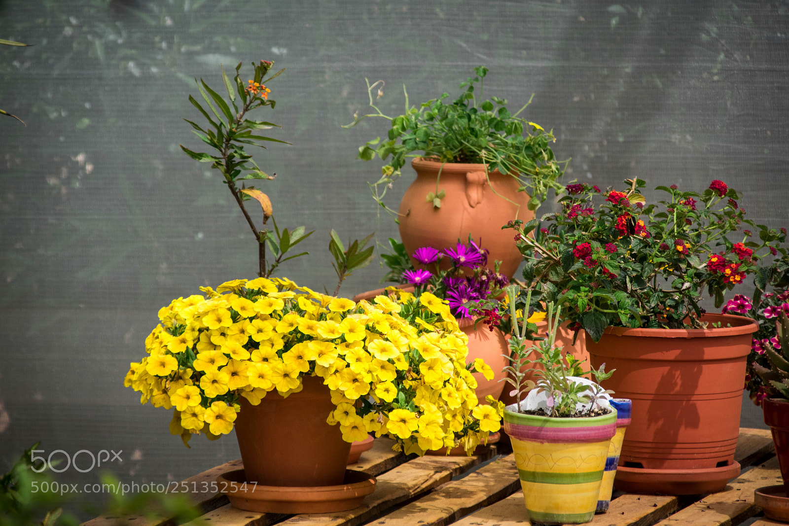 Nikon D5300 sample photo. Composicion photography