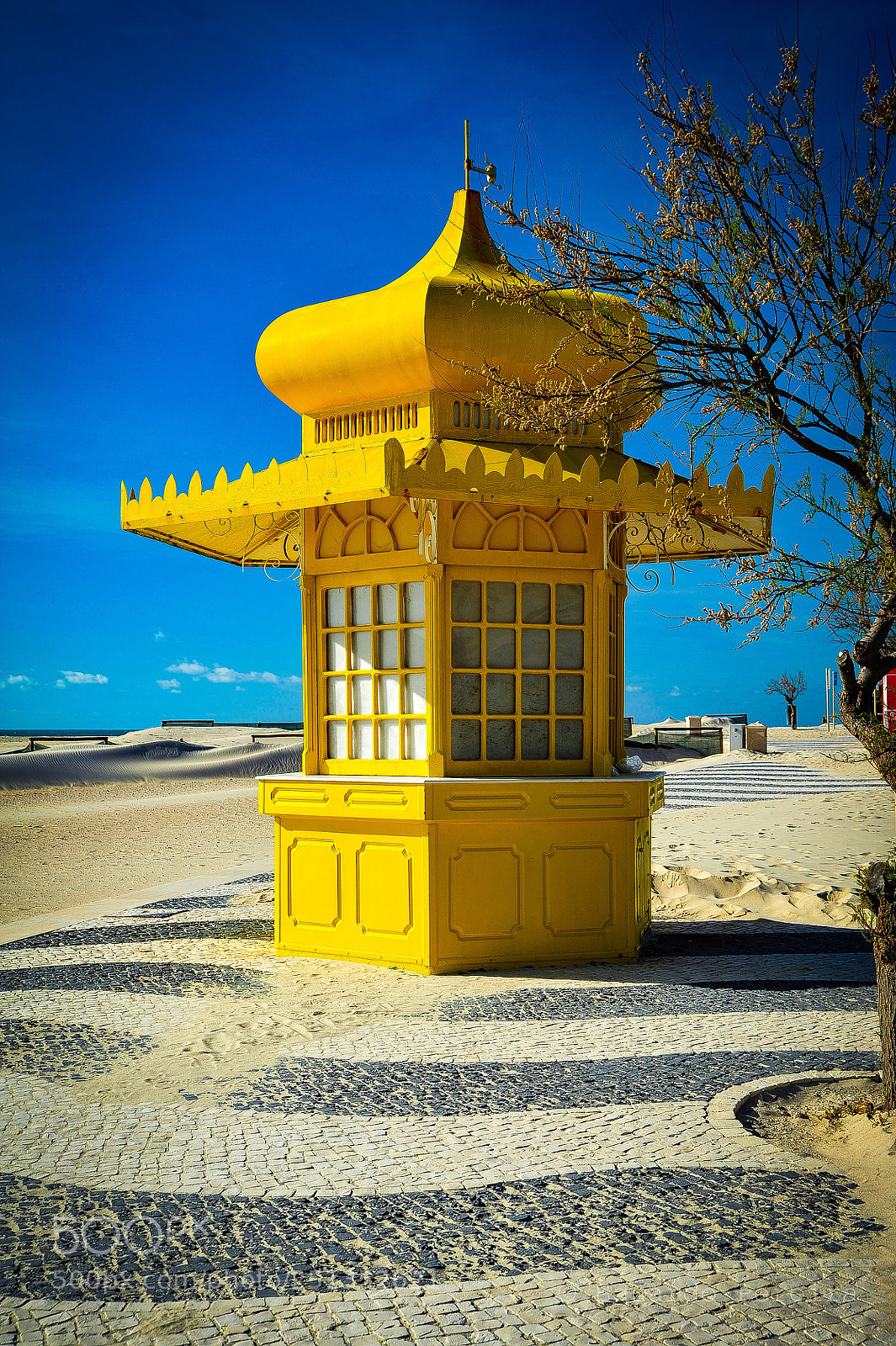 Nikon D700 sample photo. Untitled photography