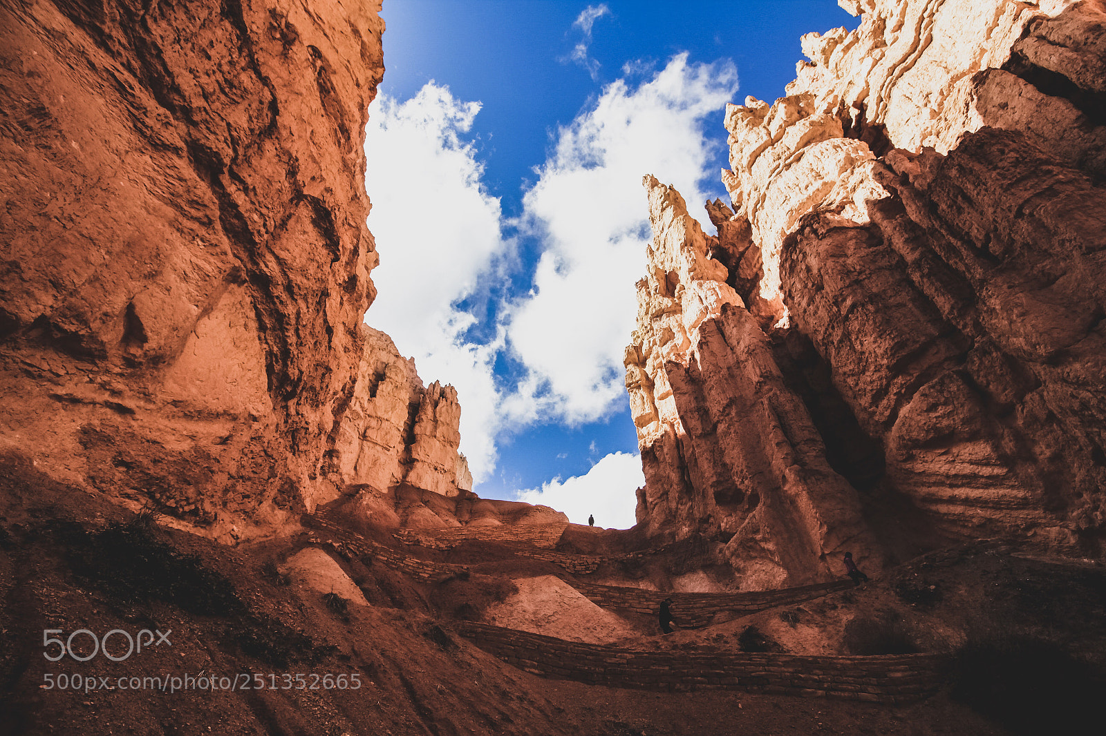 Canon EOS 60D sample photo. Beautiful trail in bryce photography