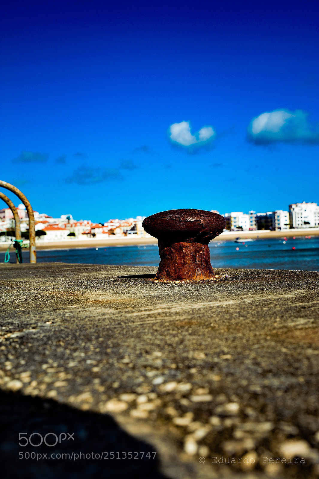 Nikon D700 sample photo. Untitled photography