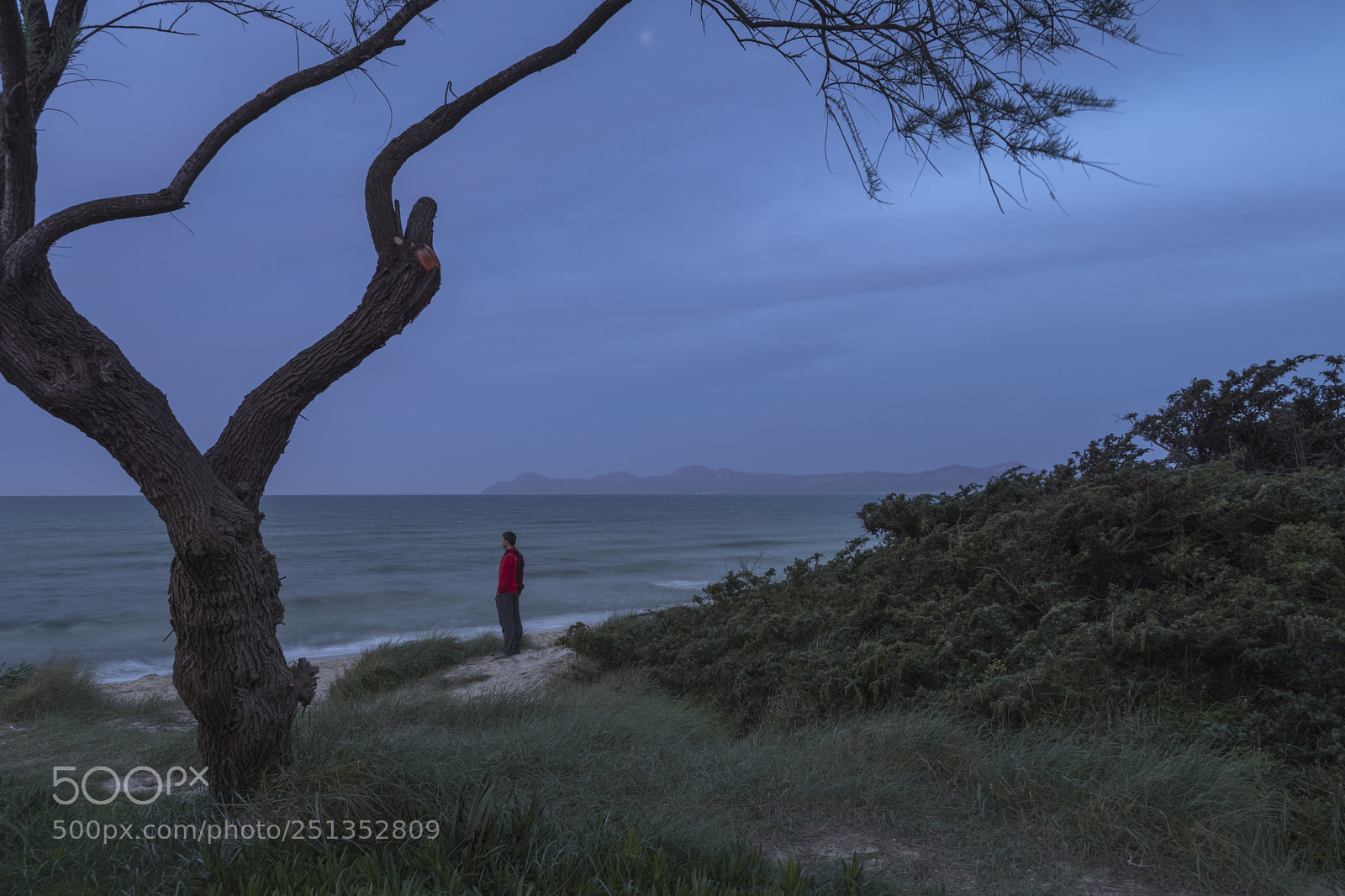 Nikon D500 sample photo. Night at playa de photography