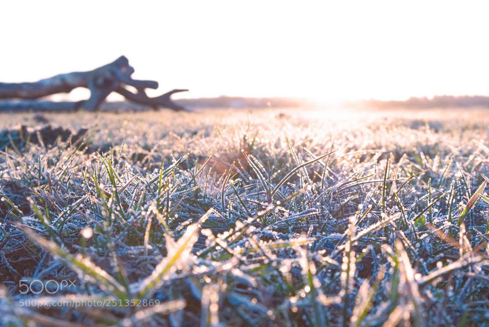 Fujifilm X-T20 sample photo. The coldest mornings bring photography