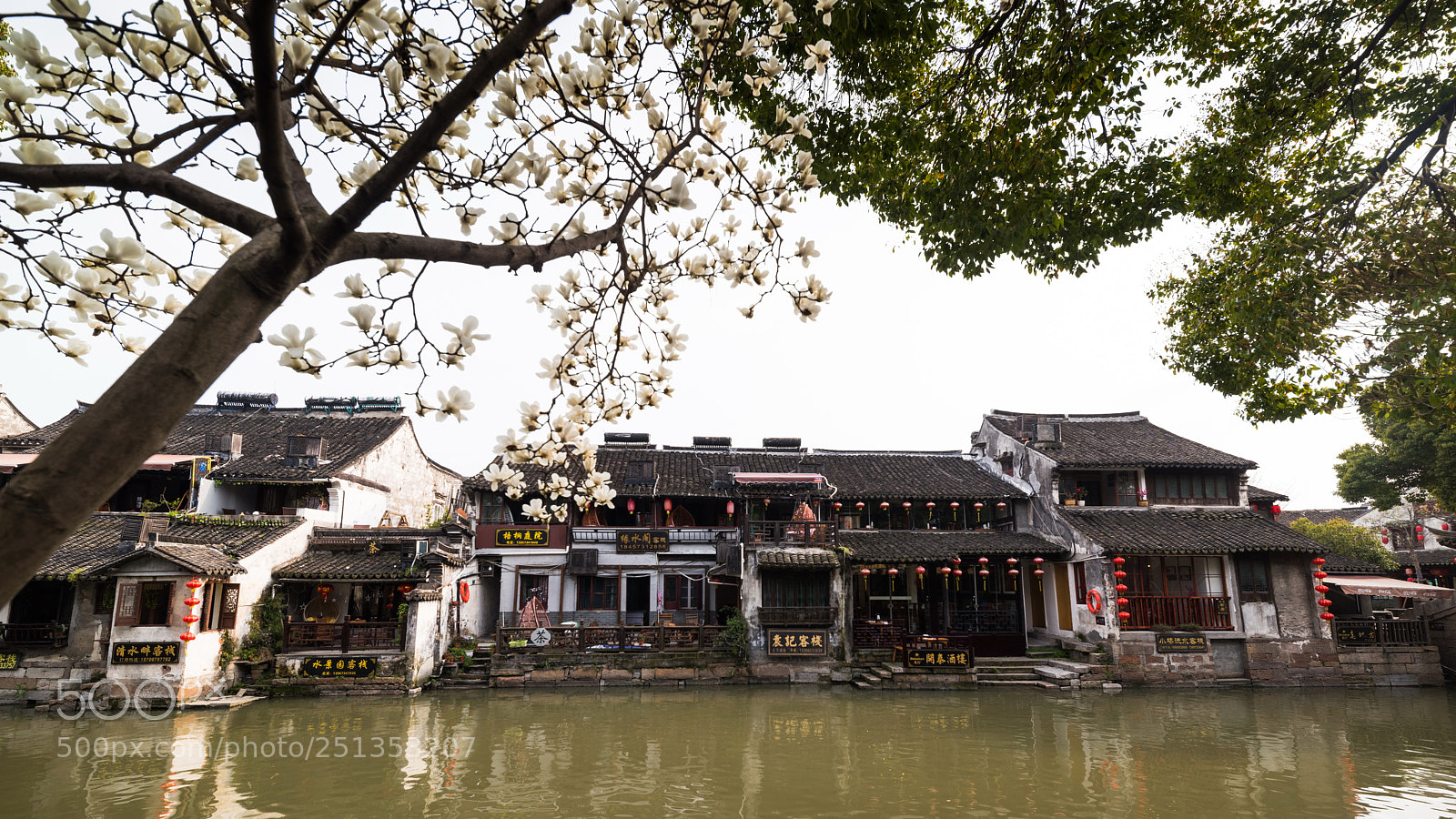 Nikon D810 sample photo. Waterside south china town photography