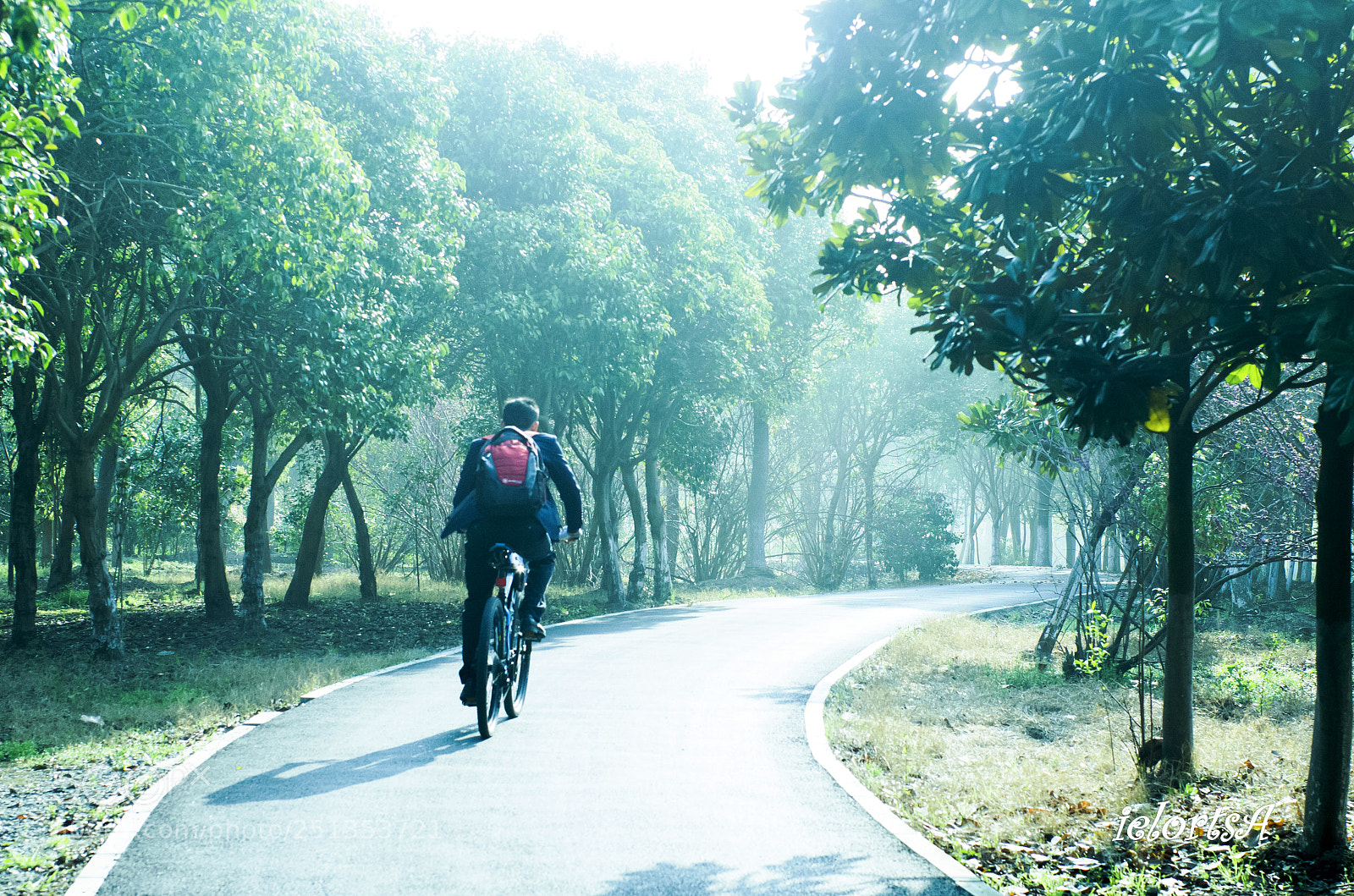 Pentax K-5 sample photo. Cycling photography