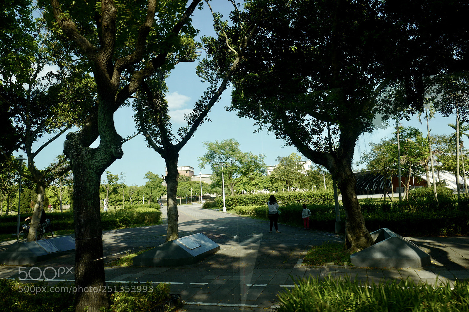 Leica Q (Typ 116) sample photo. 春天是拍綠色最佳的時期 photography