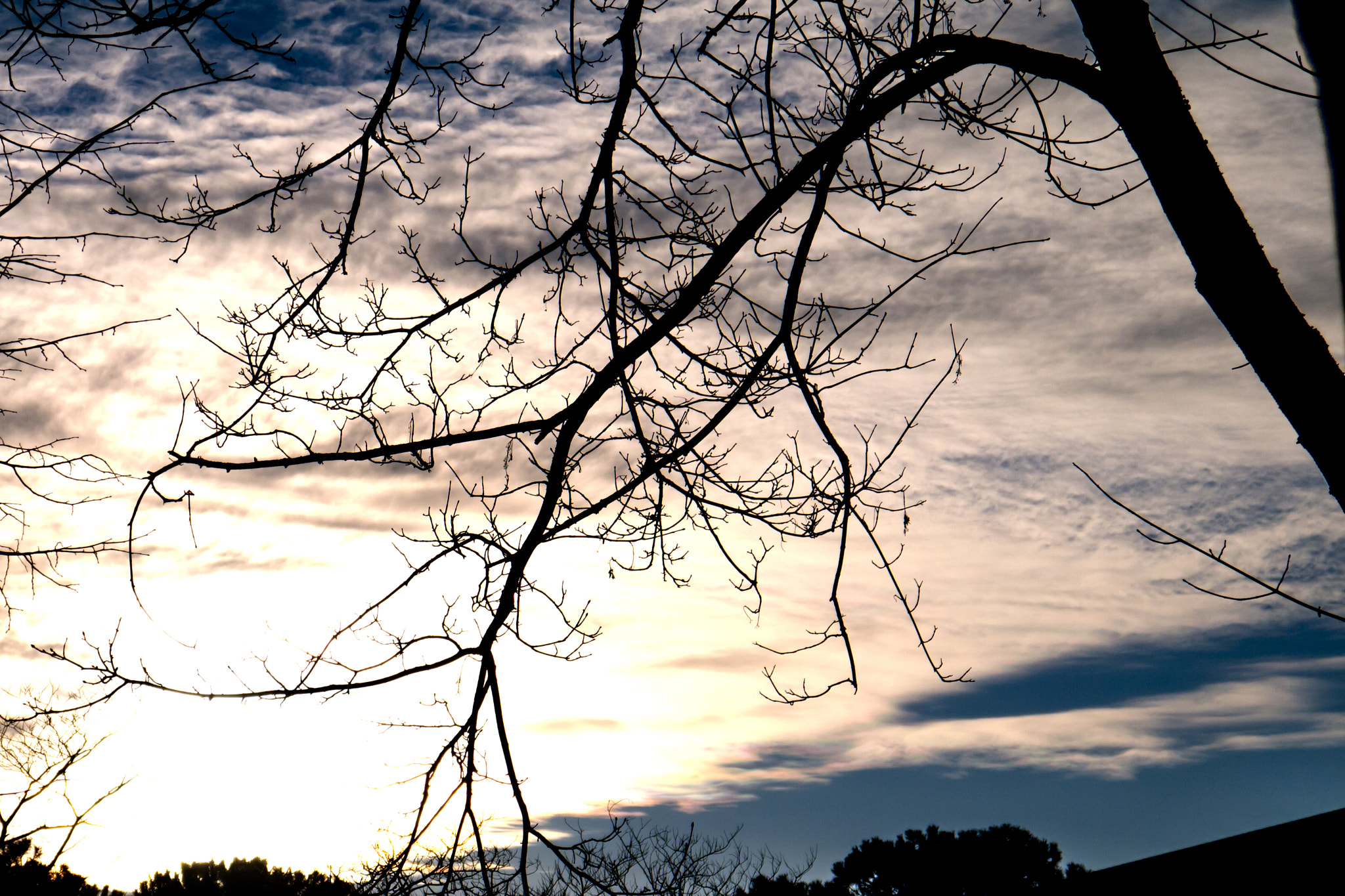 Panasonic Lumix DMC-GF5 sample photo. Luce photography