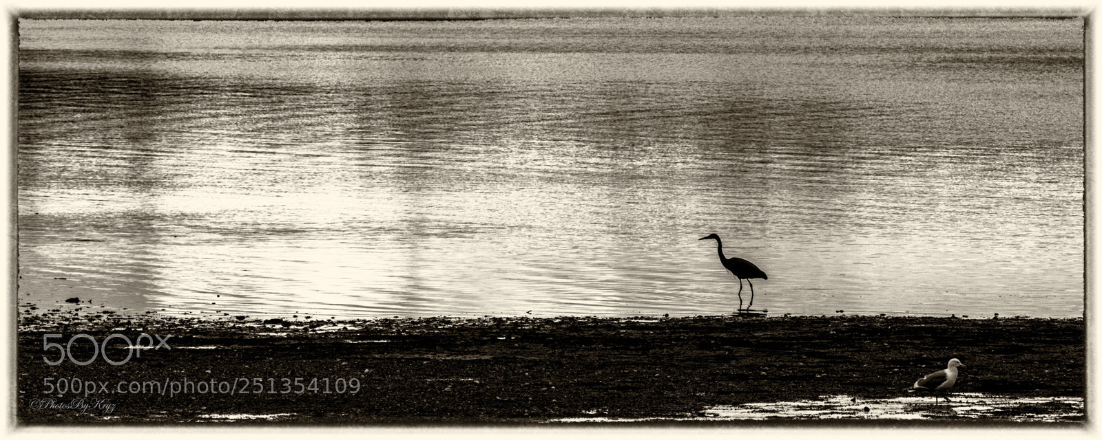 Canon EOS 5DS sample photo. B w silhoutte with photography